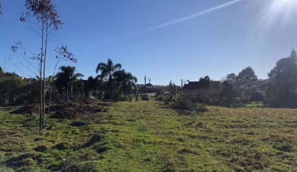 Terreno para Venda em São Bento do Sul, Serra Alta