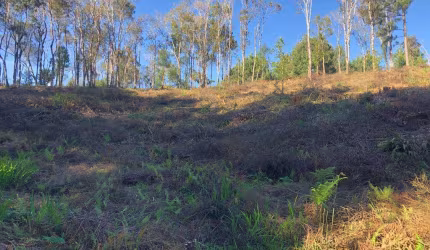 Terreno para Venda em São Bento do Sul, Progresso