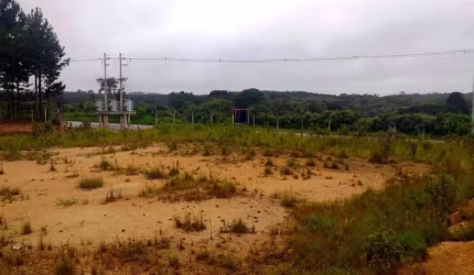 Terreno para Venda em São Bento do Sul, Lençol