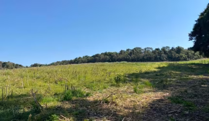 Terreno para Venda em São Bento do Sul, Dona Francisca