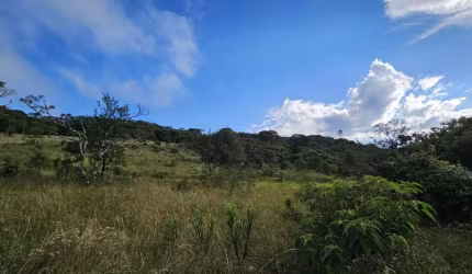 Terreno para Venda em Campo Alegre, São Miguel