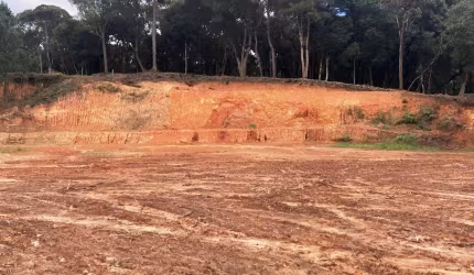 Terreno para Venda em São Bento do Sul, Alpino