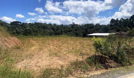 Terreno para Venda em São Bento do Sul, Serra Alta