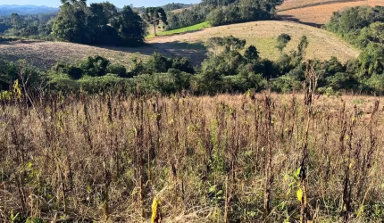 Terreno para Venda em Campo Alegre, Avenquinha