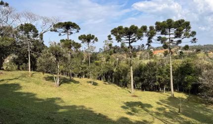Terreno para Venda em São Bento do Sul, Rio Vermelho Estação