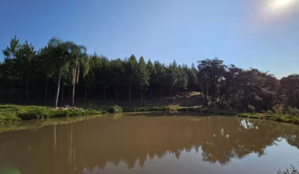 Terreno para Venda em Campo Alegre, Bateias de Baixo