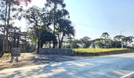 Terreno para Venda em Campo Alegre, Bateias de Baixo