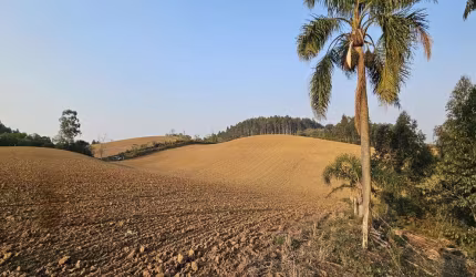 Terreno para Venda em Campo Alegre, Bateias de Cima