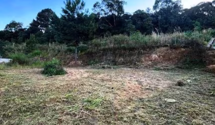 Terreno para Venda em São Bento do Sul, Alpino