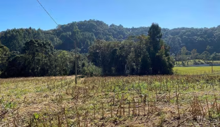 Terreno para Venda em São Bento do Sul, Centenário