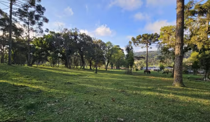 Terreno para Venda em São Bento do Sul, Brasilia