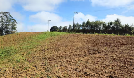 Terreno para Venda em São Bento do Sul, Cruzeiro