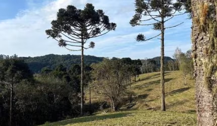 Terreno para Venda em São Bento do Sul, Rio Vermelho Povoado