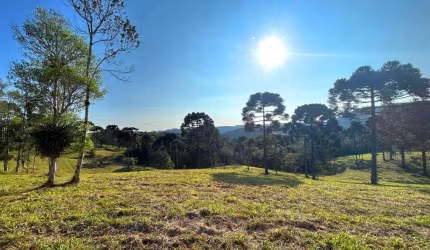 Terreno para Venda em São Bento do Sul, Rio Vermelho Povoado
