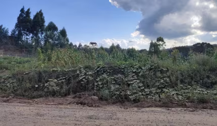 Terreno para Venda em Rio Negrinho, São Pedro