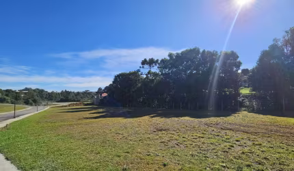 Terreno para Venda em São Bento do Sul, Brasilia