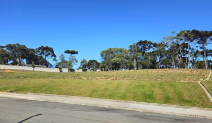 Terreno para Venda em São Bento do Sul, Brasilia