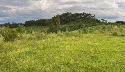 Terreno para Venda em Rio Negrinho, Volta Grande