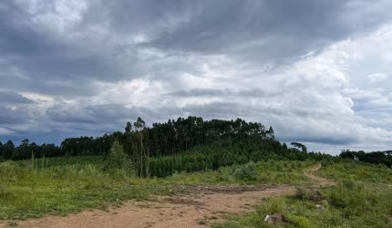 Terreno para Venda em Rio Negrinho, Volta Grande