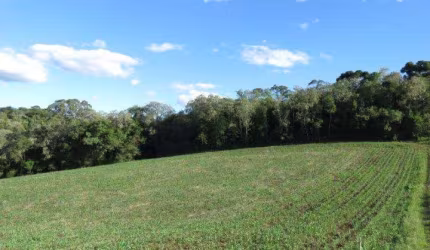 Terreno para Venda em São Bento do Sul, Centenário