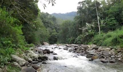 Chácara para Venda em São Bento do Sul, Área Rural de São Bento do Sul, 3 dormitórios, 1 banheiro