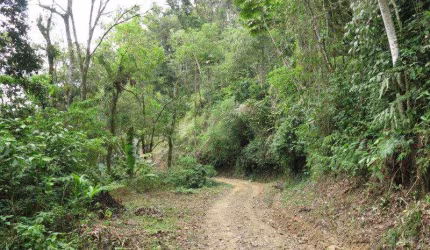Terreno para Venda em São Bento do Sul, Rio Mandióca