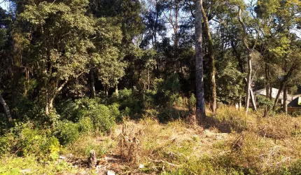 Terreno para Venda em São Bento do Sul, Brasilia