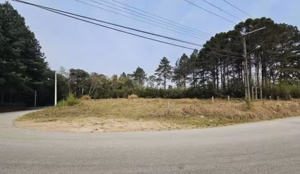 Terreno para Venda em São Bento do Sul, Lençol