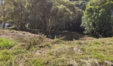 Terreno para Venda em São Bento do Sul, Centro