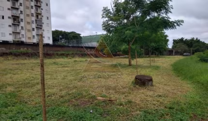 Área - Ribeirão Preto - Parque Bandeirantes