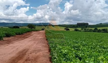Fazenda  - Itamogi - Itamogi