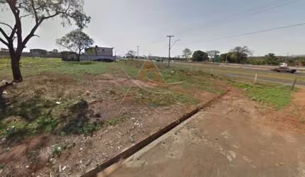 Terreno - Ribeirão Preto - Jardim Salgado Filho