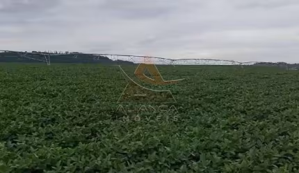 Fazenda  - Casa Branca - Zona Rural