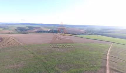 Fazenda  - São Manuel  - Zona Rural