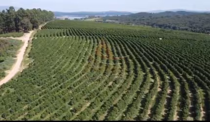 Fazenda  - Boa Esperança  - Zona Rural