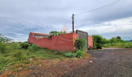 Terreno - Ribeirão Preto - Vila Elisa