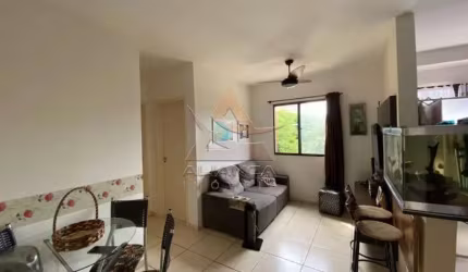 Apartamento - Ribeirão Preto - Vila Virgínia