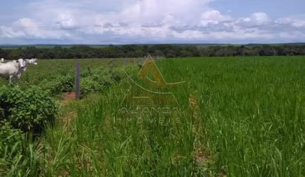 Fazenda  - Guaraí - Guaraí