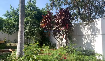 Tem edificação, mas vale mais o terreno.