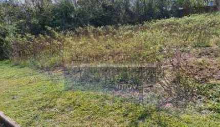 Terreno / Lote / Condomínio à venda no Bairro Condomínio Buena Vista com 357 m² de área privativa