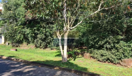 Terreno / Lote / Condomínio à venda no Bairro Condomínio Buena Vista com 390 m² de área privativa