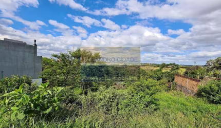 Terreno / Lote / Condomínio à venda no Bairro Protásio Alves com 250 m² de área privativa