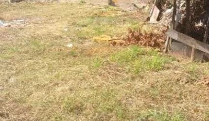 Terreno para alugar, 1810 m² por R$ 12.740,64/mês - Jardim Jamaica - Santo André/SP