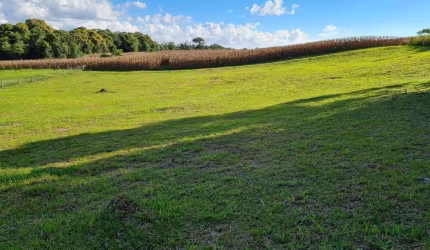SÍTIO no CAMPO ALEGRE com 0 quartos para VENDA, 0 m²