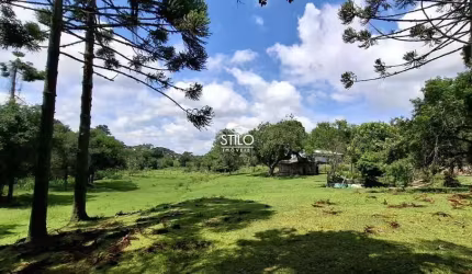 Área à Venda em Campo Largo - PR