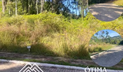 Terreno a Venda em Nova Petrópolis
