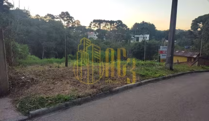 Lote / Terreno em Cascatinha  -  Curitiba