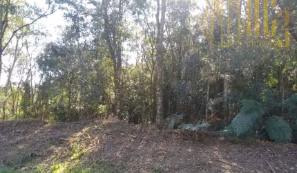 Terreno na BR-376 -  São José dos Pinhais