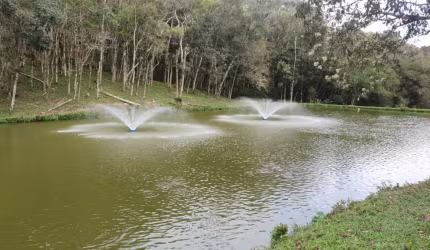 Área com tanque em ótima localização