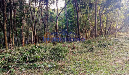 Terreno à venda Loteamento Recanto dos Palmares em Atibaia - 833m²